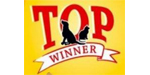 Logo Top Winner